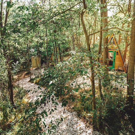 Apartament Blue Brambler Glamping A-Frame Rockbridge Zewnętrze zdjęcie