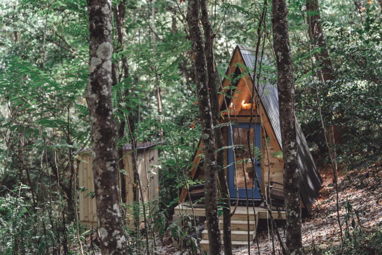 Apartament Blue Brambler Glamping A-Frame Rockbridge Zewnętrze zdjęcie