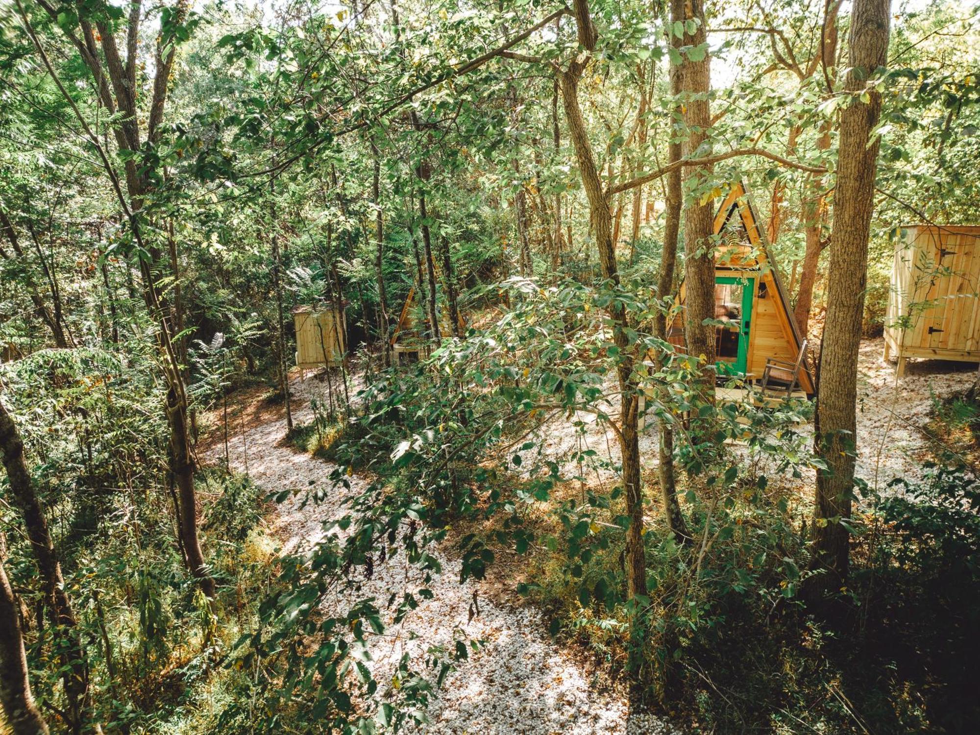 Apartament Blue Brambler Glamping A-Frame Rockbridge Zewnętrze zdjęcie